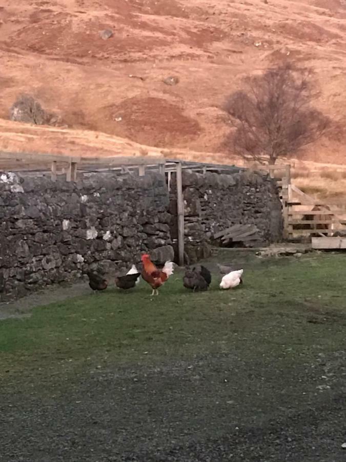 Garrison Of Inversnaid Farm With Hot Tub Kültér fotó